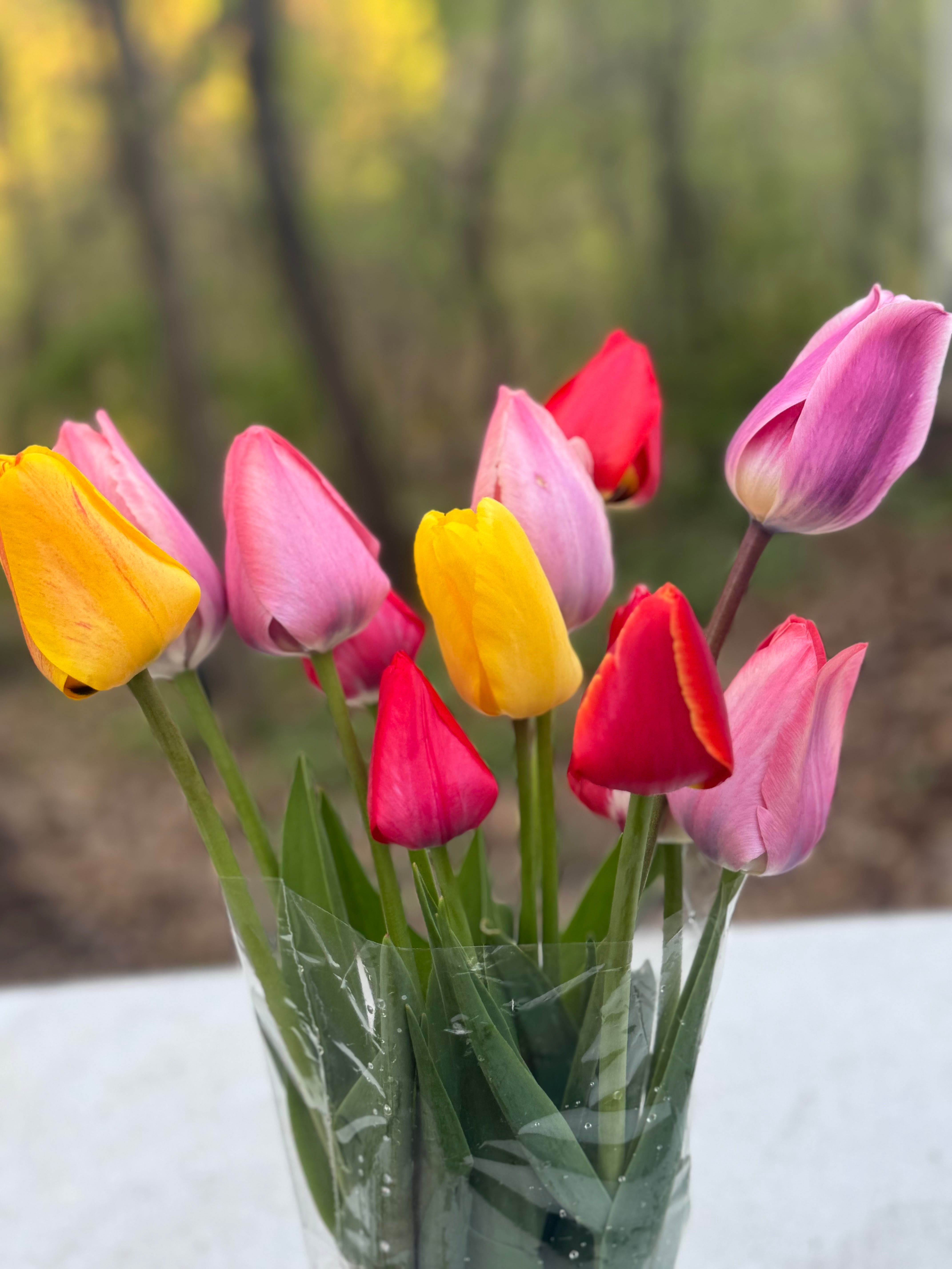 LOCAL PICKUP 5/10/25 -- Deluxe Tulip Bouquet (In Bloom!) w/ vase