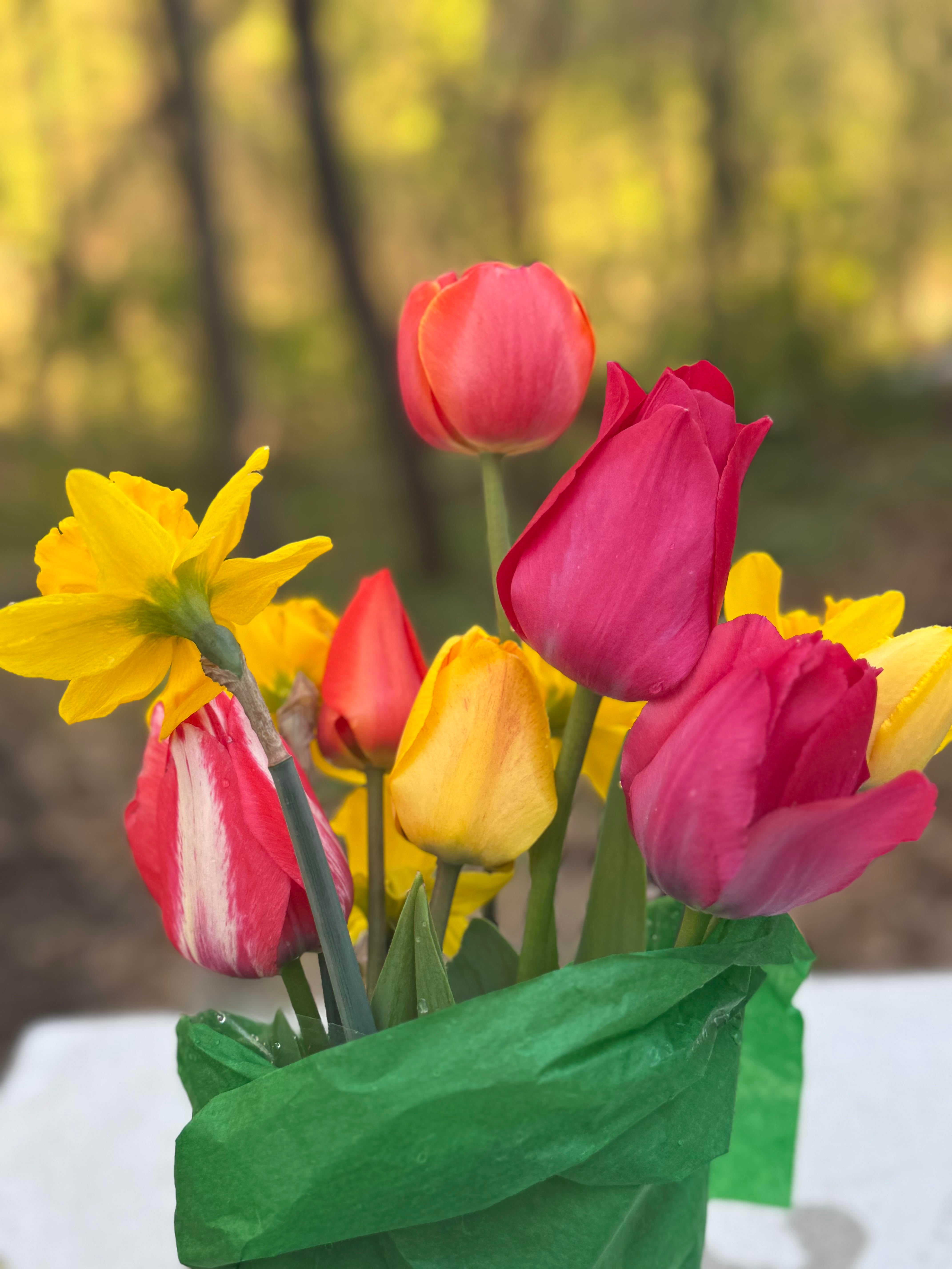 Mother’s Day Tulip and Daffodil Bundle – One Dozen Stems