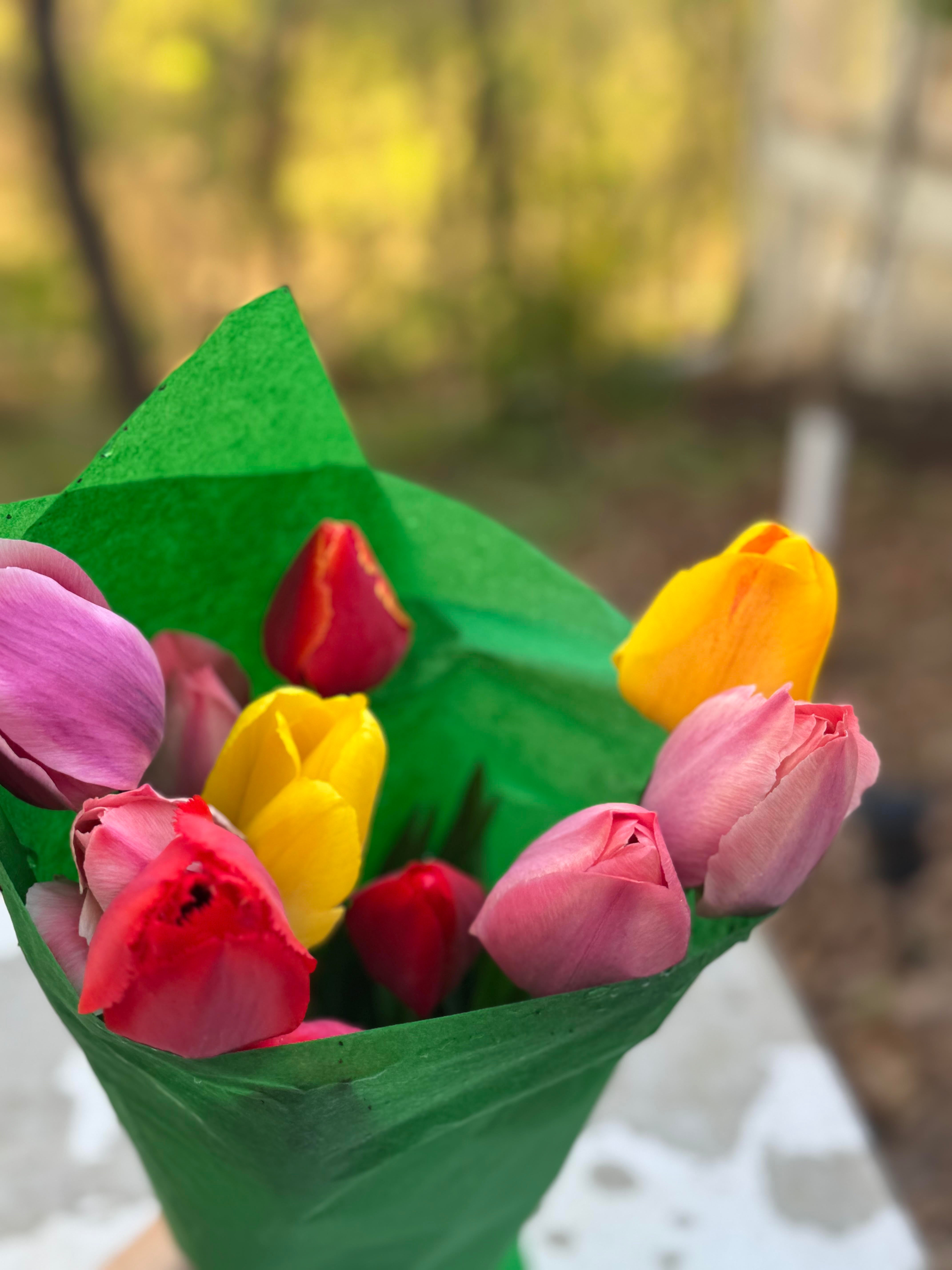LOCAL PICKUP 5/10/25 -- Deluxe Tulip Bouquet (In Bloom!) w/ vase