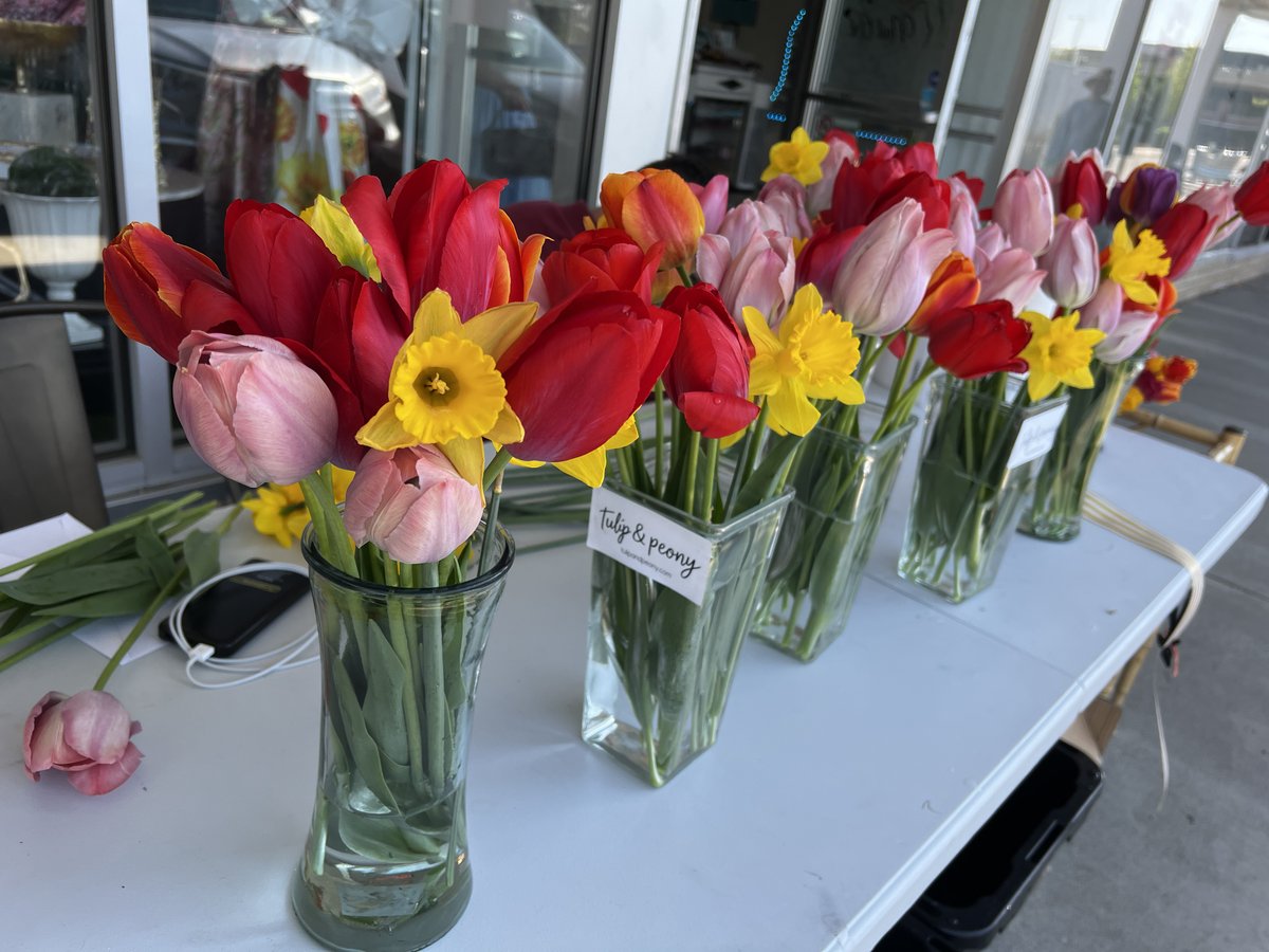 Fresh rainbow tulip bunches arranged in vases — the perfect gift