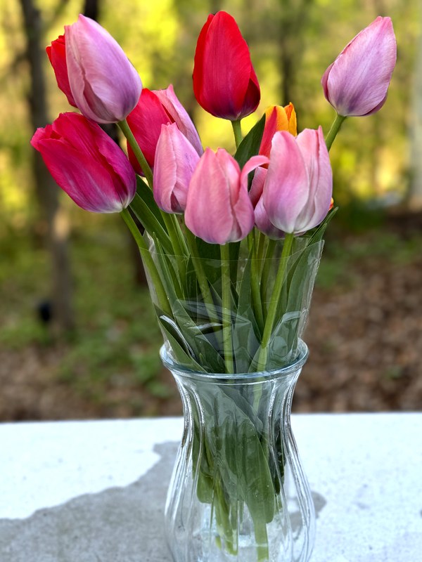 A hand-tied bouquet of pink and red tulips wrapped in brown paper